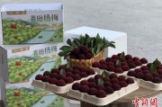 正缘画像高速赋能产业升级：一条“杨梅路”的致富密码